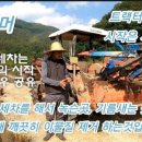 OK 세차정비 이미지