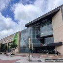 아프리카안경 스타필드마켓 킨텍스점 | 일산 킨텍스 스타필드 마켓 트레이더스 북적북적 복합 쇼핑센터 [더 타운 몰 킨텍스점]