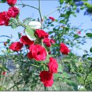 광호농장 이미지