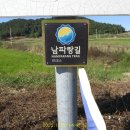 내동~사내호 티스토리