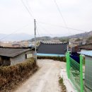 장선포1 이미지