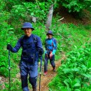 소정면사무소 이미지