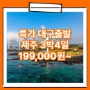 동양관광여행사 | 대구_특가_제주도_3박4일 #관광패키지 #석조 / 대구 제주 패키지 여행 여행사 / 대구공항