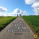 고흥유자축제 향기님 공연장을 다녀와서~~~ 이미지