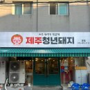 꿀배미할매김치찌개 | [연천] 제주느낌 물씬나는 전곡맛집 “제주청년돼지”방문후기