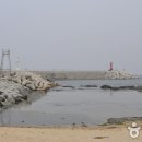 안인해변(안인해수욕장) Daum카페