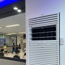 한국체대남일 이미지