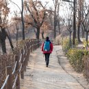 [출발-서울] 초안산둘레길.오패산나들길(2/18 수요일) 이미지