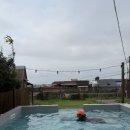 스테이너흐 이미지