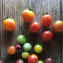 에어룸 토마토-체리 사이즈 여러가지 반송이 나눔 이미지