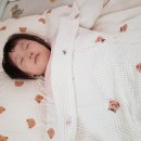 다복어린이집 이미지