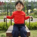 삼산교통공원 Daum카페
