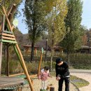 일자산 자연공원 | 송파·강동 아기랑 갈만한 곳｜하루 종일 놀 수 있는 일자산 자연정원 놀이터 후기 (주차·산책로·화장실)