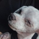 성신동물병원 이미지