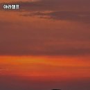 바닷가별장 | 강원도 고성 바닷가 힐링 캠핑 &#39;아라캠프&#39; 솔직후기 🏖️🌿