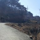 개구리민박 이미지