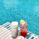 몰디브커피 이미지