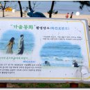 호수와 소나무 이미지