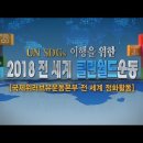 2018 전 세계 클린월드운동 - 싱가포르 이스트코스트공원 물들인 녹색 물결 이미지