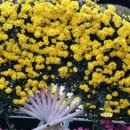 그린나눔공연예술단 이미지