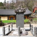 화개십리벚꽃길 이미지