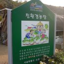 새마을 농장 이미지