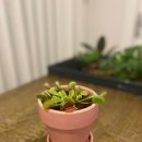 반포화원
