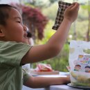 하나연어린이집 이미지