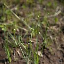 둥지민박 이미지