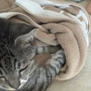 카페 어떤오후 한없이 울었던 날과 가장 행복했던 <b>어떤 오후</b>