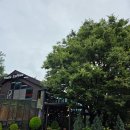 산성로 | 행주산성 카페 디저트 맛집 더츠커피팩토리