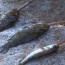 의풍 농장 이미지