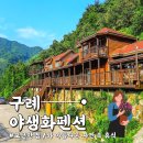 야생화펜션 - 구례군 섬진강대로 4310-21 | [구례] 지리산 피아골 계곡 옆, 깨끗하고 친절한 애견동반 펜션 추천! '구례 야생화 펜션' 후기