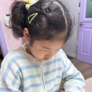 늘푸른음악교습소