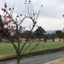 (주)골프큐브 네이버블로그