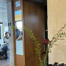 용산역 커피 맛집, 트래버틴 방문 후기 (주차 정보, 반려동물 입장 등 상세 안내!)