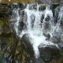 황룡산장 이미지