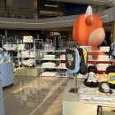 멍멍스타 | [하남 스타필드] 앰버서dog 하남 스타필드 후기