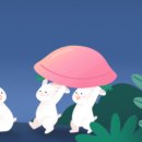 장안미소약국 이미지