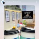 금송태권도장 이미지