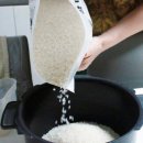 향진먹거리 | 현대쌀집 비단쌀 향진주 블렌딩 프리미엄 백미 후기