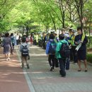 평촌초등학교 앞 이미지