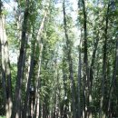 영지민박 이미지