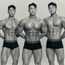 회기19 이미지