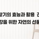 자연의선물 이미지