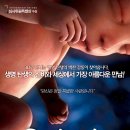 (주)팝엔터테인먼트 - 강남구 | (주)팝엔터테인먼트