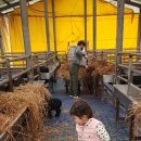 숲뒤농장 이미지