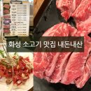 살살녹소 이미지