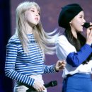 보성중학교 이미지