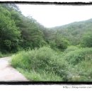 길안면보건지소 이미지